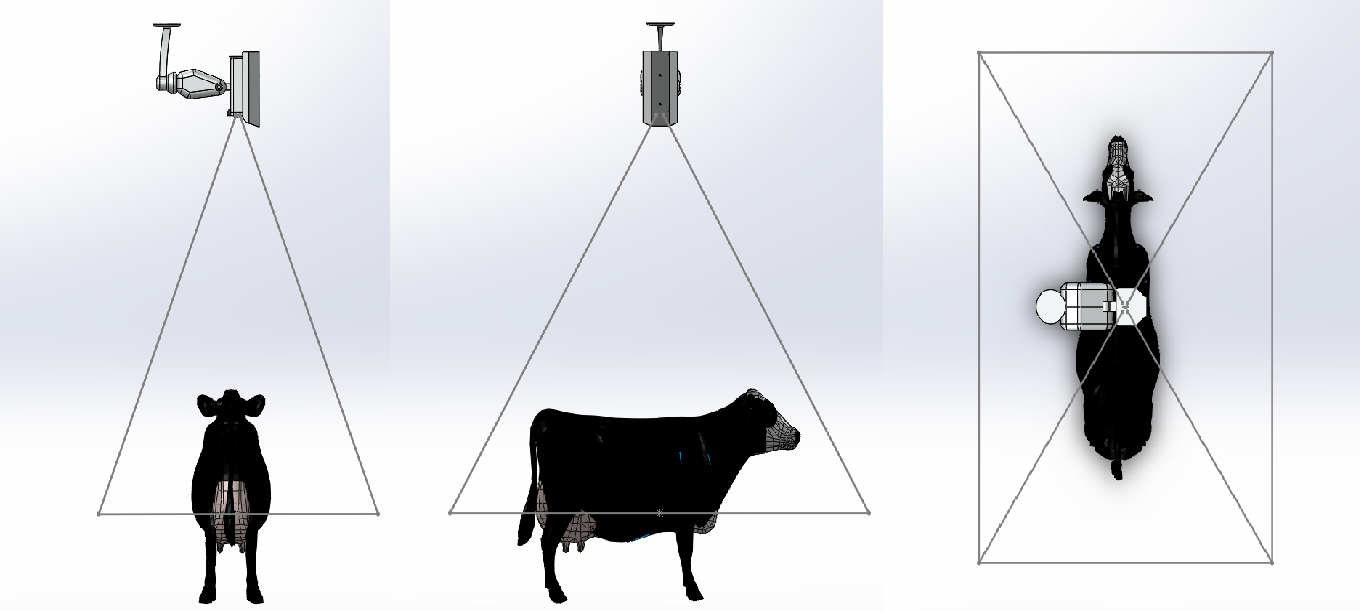 Ghost Scale | Artificial Intelligence Animal Scale, Cattle and Sheep ...