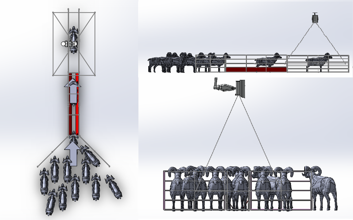 Ghost Scale | Artificial Intelligence Animal Scale, Cattle and Sheep ...